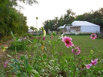 Jungle View Resort Sawai Madhopur Εξωτερικό φωτογραφία