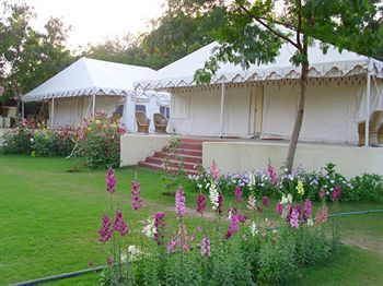 Jungle View Resort Sawai Madhopur Εξωτερικό φωτογραφία