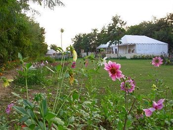 Jungle View Resort Sawai Madhopur Εξωτερικό φωτογραφία